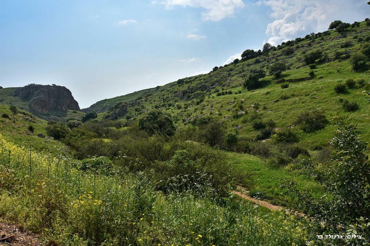 Agama Villa Livnim Buitenkant foto